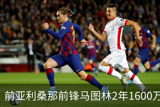 前亚利桑那前锋马图林2年1600万加盟鹈鹕，含球员选项