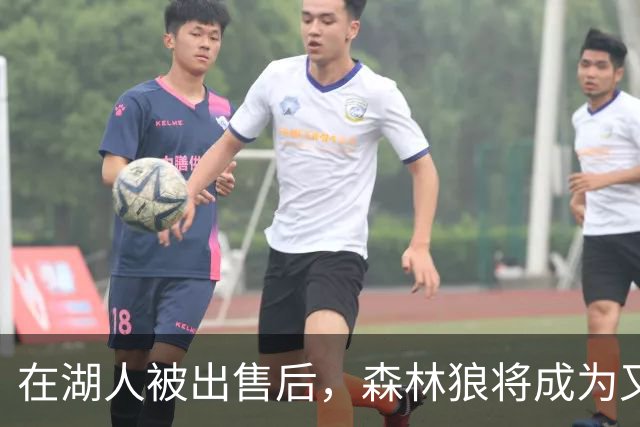 在湖人被出售后，森林狼将成为又一支被出售的球队？