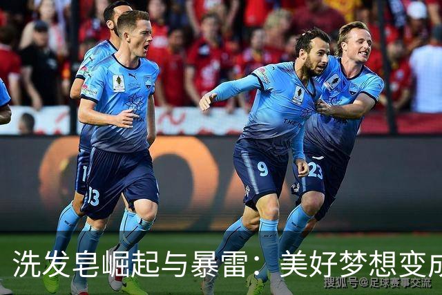 洗发皂崛起与暴雷：美好梦想变成了梦噩梦